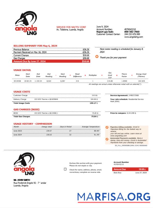 Blank Angola LNG proof of address business utility bill template in Word and PDF format